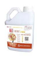 根婷好